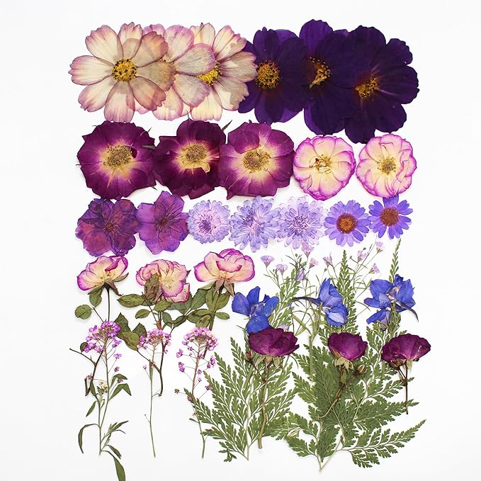 Large Purple Dried Pressed Flowers - Real Natural Big Flowers for Resin, Crafts, Nail Art, Candle, Soap, Phone Cases & DIY Jewelry