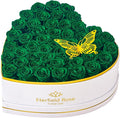 Eterfield 47 Forever Flowers in Heart Shape Box, Preserved Roses That Last a Year Preserved Flowers Birthday Gifts for Her Mom Women Wife Anniversary Valentines Day Mothers Day Christmas, Green