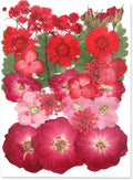 Augshy Red Dried Pressed Flowers, Pressed Red Roses Dried Flowers for Resin Molds Jewelry Nail Art Craft DIY