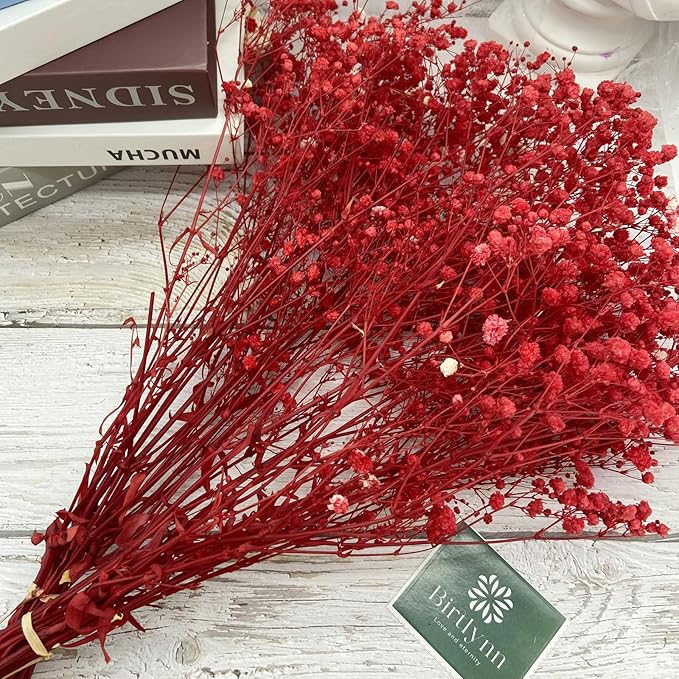 Birtlynn Preserved Baby's Breath, 100% Natrual Gypsophila Long Lasting Flowers for Vase Arrangements Home Decoration Photo Props Parties and Weddings, DIY Décor-Red