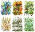 Fern Plant-Themed PET Sticker Set, 120Pcs Botanical Stickers for Scrapbooking, Journaling, Junk Journal Supplies, and DIY Crafts
