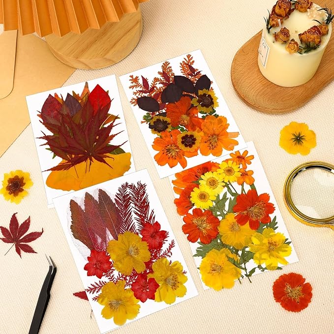 Augshy Fall Dried Pressed Flowers Orange Pressed Fall Leaves for Crafts Resin Molds Real Red Brown Yellow Pressed Leaves for Scrapbooking, Epoxy Resin Supplies