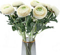 Artificial Ranunculus Flowers with Real Touch Stem, Silk Ranunculus Flowers(10 Pack) (White)