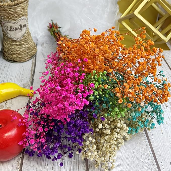 Preserved Baby's Breath, 100% Natrual Gypsophila Long Lasting Flowers for Vase Arrangements Home Decoration Photo Props Parties and Weddings, DIY Décor-Mix