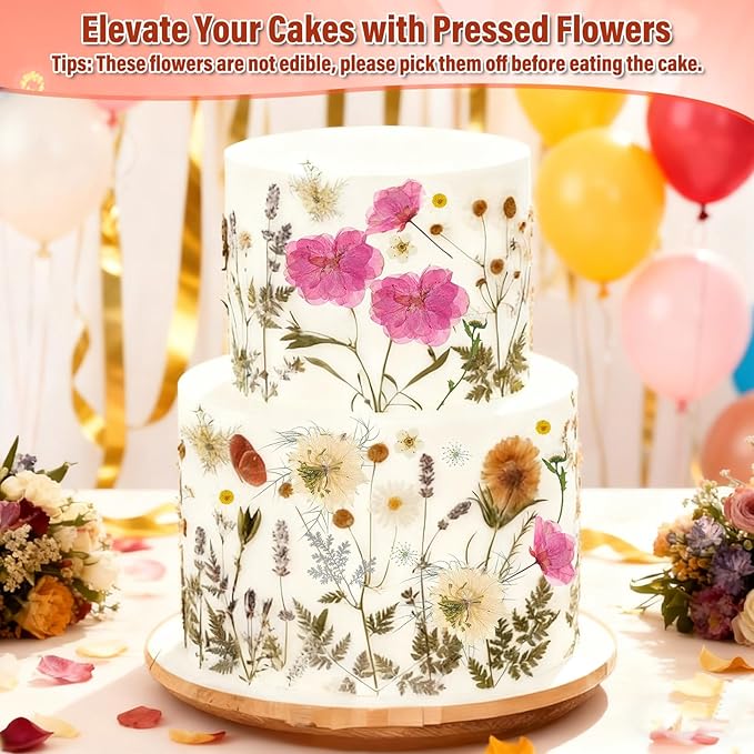 Dried Pressed Flowers for Resin, Real Pressed Flowers Dry Leaves Bulk Natural Herbs Kit for Scrapbooking DIY Art Crafts Epoxy Resin Jewelry Mold Candle Soap Making Nails Décor (White & Pink Floral)
