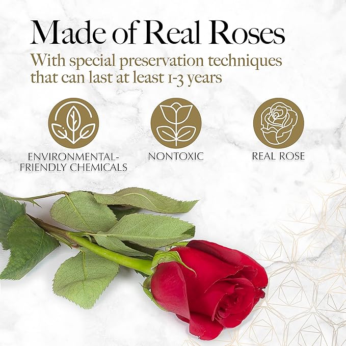 GLAMOUR BOUTIQUE 27 Flower Forever Heart Shape Box - Preserved Roses Gift for Her, Preserved Flowers, Red