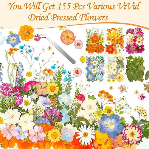 155Pcs Dried Pressed Flowers for Crafts, 6 Sheets Real Dry Florals and Leaves Bulk with Tweezer for Resin Molds Candle Soap Making Scrapbook Bookmarks Frames Supplies Kit Nail Art Makeup Decor