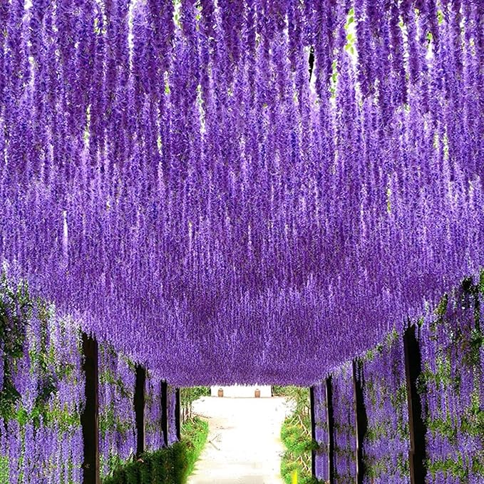 Artificial Flowers Hanging Flowers, Fake Garland Silk Vines Rattan String Decor for Home Wedding Arch Wall Garden Greenery Bedroom Outdoor Office Party Decoration (36, Purple)