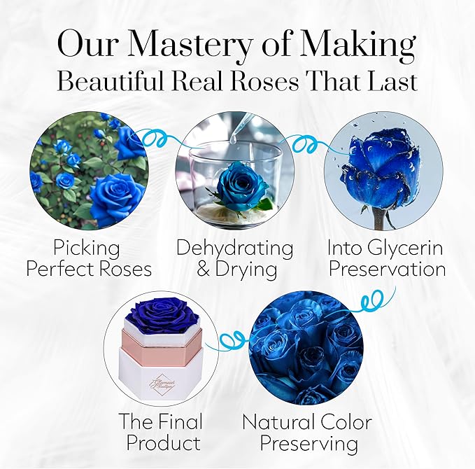 GLAMOUR BOUTIQUE Eternal Preserved Roses in a Box - Flowers Forever, Rose Forever in a Box for Wife, Birthday Gifts for Her, Single Rose, Blue