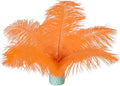 Piokio 20 pcs Orange Ostrich Feathers Plumes 8-10 inch(20-25 cm) Bulk for DIY Handmade Artwork and DIY Clothes, Feather Pens, Dream Catcher, Table Decoration.