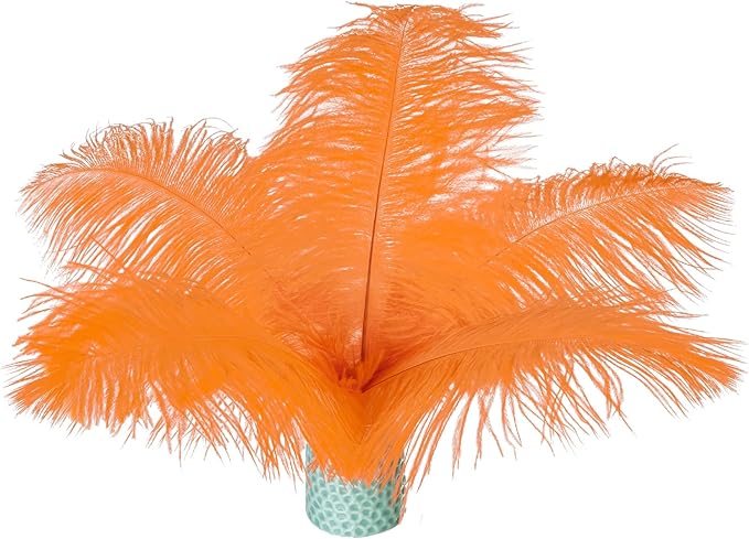 Piokio 20 pcs Orange Ostrich Feathers Plumes 8-10 inch(20-25 cm) Bulk for DIY Handmade Artwork and DIY Clothes, Feather Pens, Dream Catcher, Table Decoration.