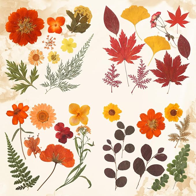 Augshy Fall Dried Pressed Flowers,100 Pcs Autumn Dried Flowers Leaves for Resin Molds Real Pressed Flowers for Crafts DIY Jewelry Molds, Scrapbooking, Candle