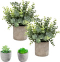 Flojery Small Fake Plants Eucalyptus Potted Mini Potted Plants Artificial Eucalyptus Boxwood Rosemary Greenery in Pots Faux Potted Herbs Small House Plants for Indoor Greenery Tabletop Set of 4