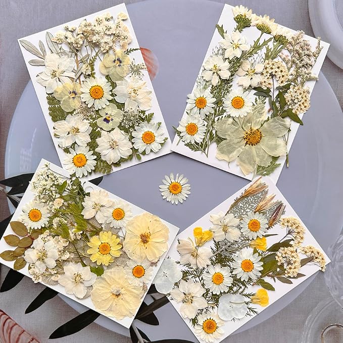 90Pcs White Dried Pressed Flowers for Resin Molds, Real Natural Bulk Dry Floral Leaves for DIY Art Crafts, Epoxy Jewelry, Candle, Soap Making, Nails Decors Gifts