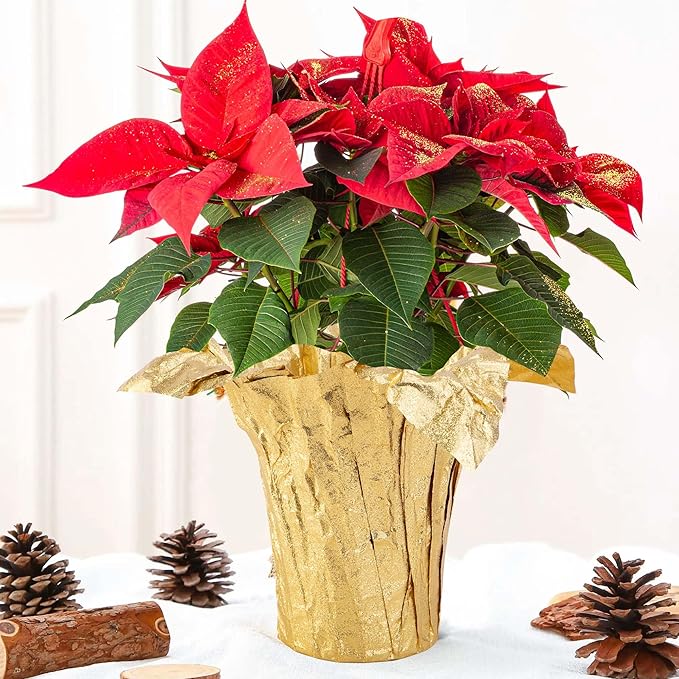 Iceyyyy 10 Yard Christmas Plant Pot Floral Foil, Matte Texture Floral Foil Plant Pot Covers, Golden Florals Foils Wrapping Paper for Home Garden Pots Vases DIY Decoration