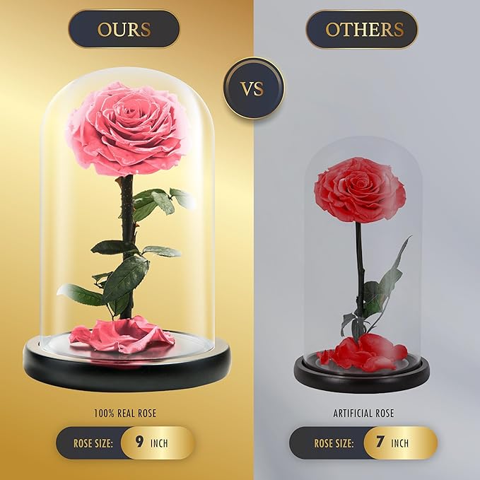 Forever Preserved Rose - Eternal Rose in Glass Dome - Beauty and The Beast Rose for Mom - Fresh Flowers for Delivery Prime (Pink, 9 Inch)