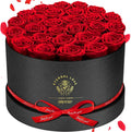 Forever Flowers, 27 Roses in A Box, Real Preserved Roses, Birthday Gift for Women, Mother's Day, Anniversary, Red Rose