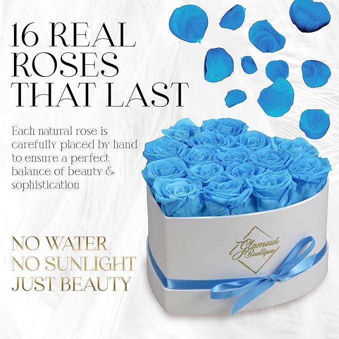 GLAMOUR BOUTIQUE Preserved Roses in a Box - Gifts for Her, Wife & Mom, Rose Flowers Forever Decor for Birthday Gift, Get Well Flower Bouquet Cased in White Box with Cover - Teal - 16-Piece