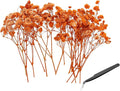 PATIKIL Mini Dried Gypsophila Flower Kit, 30Pcs 4 Inch Orange Natural Pressed Floral Bundles with Tweezer for DIY Resin Crafts Gift Wedding Christmas Card Decor Flower Bouquets