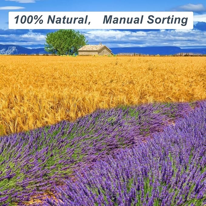 Dried Lavender & Wheat Flowers Bundle - 17'' Real Fresh Preserved Lavender Flowers and White Wheat Plants Bouquet Hand Tied Fall Wedding, Fragrance Home Vase Decor, Bohemian Arrangements, 2 Bundles