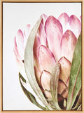 Kate and Laurel Sylvie Pink Protea Flower Framed Canvas Wall Art by Amy Peterson, 28x38 Natural