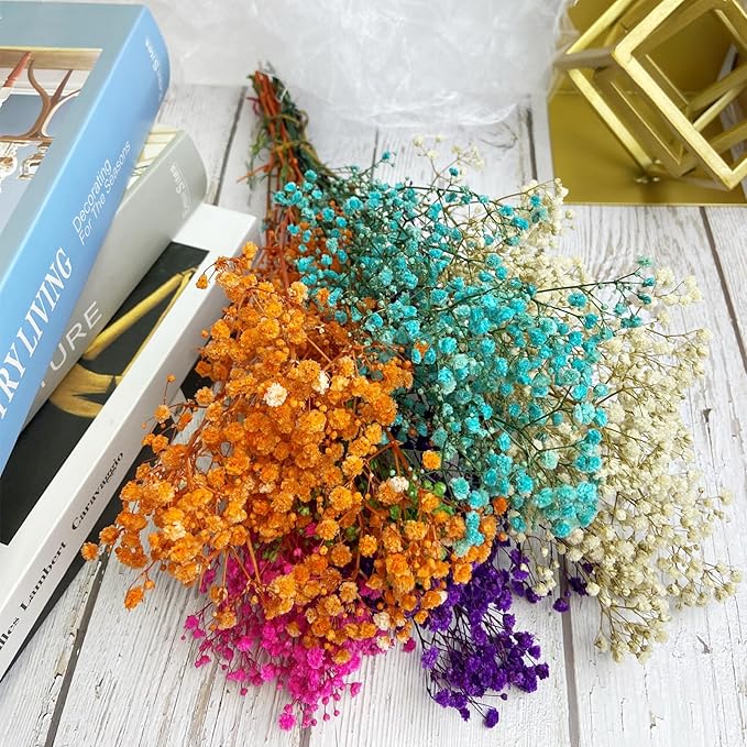Preserved Baby's Breath, 100% Natrual Gypsophila Long Lasting Flowers for Vase Arrangements Home Decoration Photo Props Parties and Weddings, DIY Décor-Mix
