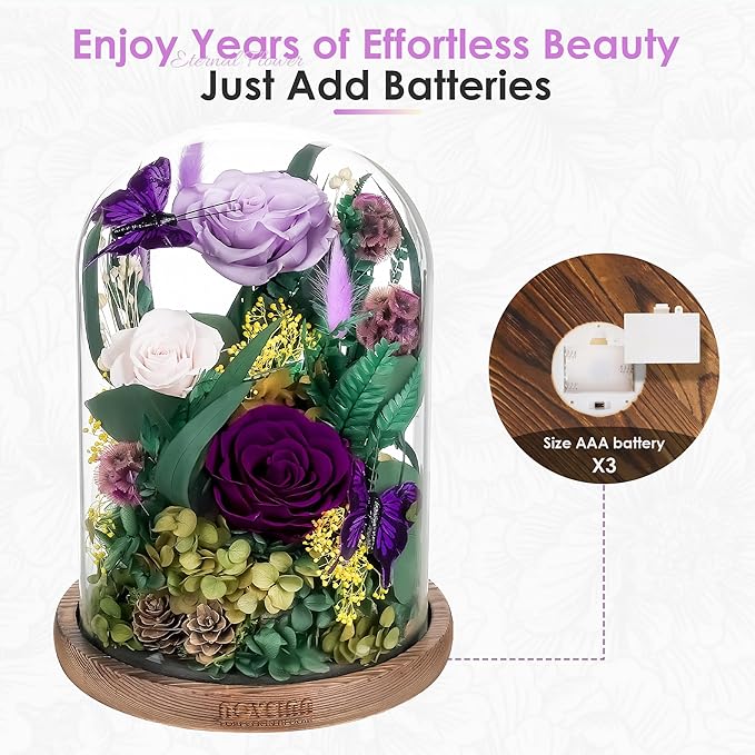 NOVEINN Preserved Flowers in Glass Dome - Eternal Rose Arrangement with Real Preserved Plants, Romantic Forever Rose Gift for Women - Anniversary, Birthday, Mother’s Day, Home Decor(Purple)