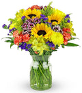 Benchmark Bouquets - Flowering Fields (Glass Vase Included) - Fresh Flowers for Delivery - Gift for Birthday, Anniversary, Sympathy, Get Well, Congratulations, Thanksgiving, Christmas