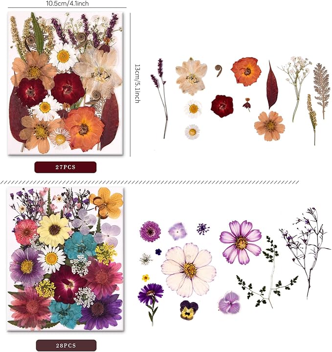 5 Packs of 140 Pressed Dried Flowers and Leaves Real Natural Dried Flowers with Tweezers for DIY Crafts, Resin Jewelry, Card Making, Soap, Candles, Nail Art, and Scrapbooking (5 Colors)