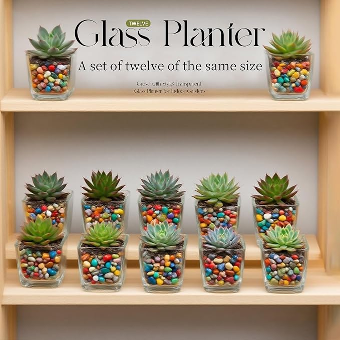 12pcs Square Glass Vases for Centerpieces, 3.15" Clear Short Glass Vase Cube Plant Terrarium, Candle Holder for Wedding Centerpiece, Office Decorations, Home Décor, Parties