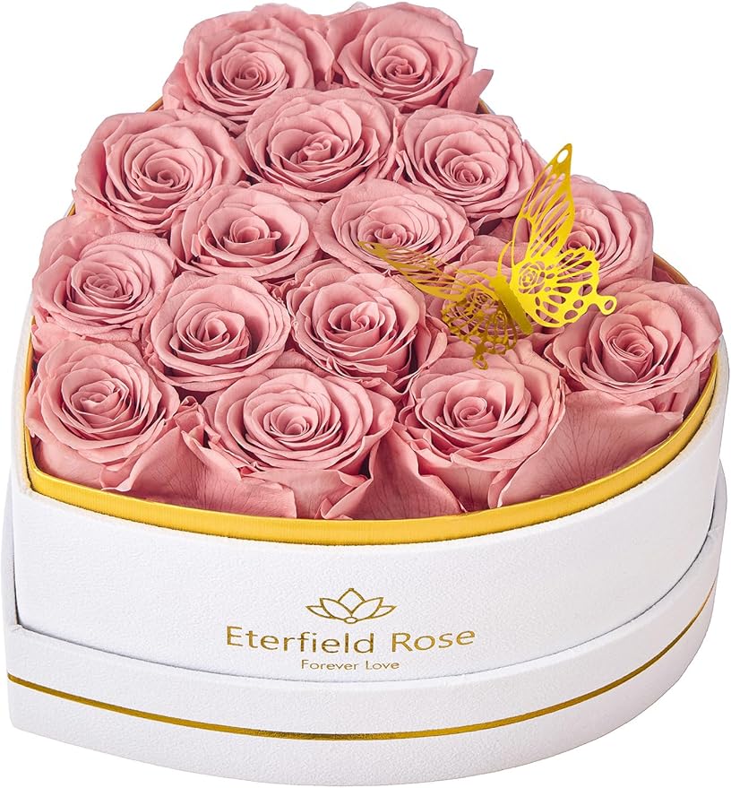 Eterfield 16 Forever Flowers in Heart Shape Box, Preserved Roses That Last a Year Preserved Flowers Birthday Gifts for Her Mom Women Wife Anniversary Valentines Day Mothers Day Christmas, Dusty Pink