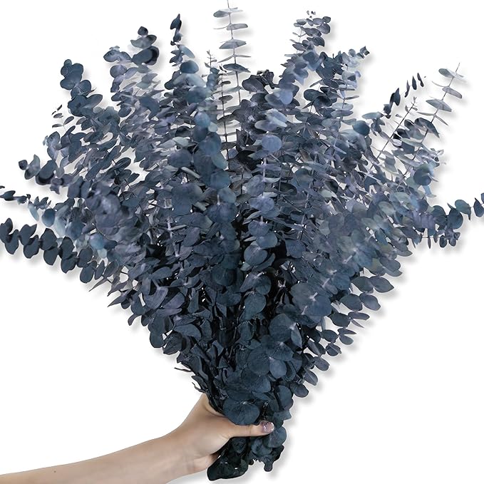 26Pcs Real Dried Eucalyptus Stems, 17" Blue-Green Preserved Eucalyptus Stems for Vase, Home Decor, Farmhouse, Dried Flowers Table Centerpiece Arrangement