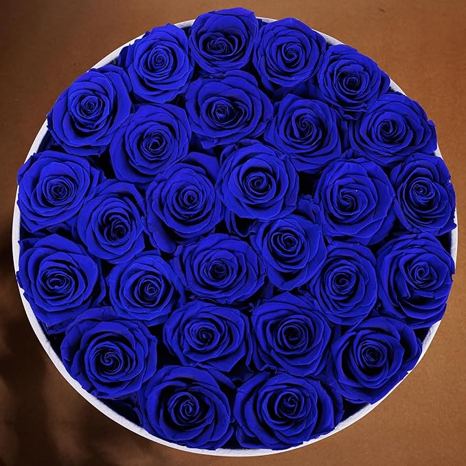 27 Flowers in a Luxury Suede Box, Birthday Gifts for Women, Preserved Flowers, Mothers Day Roses Gift for Mom, Royal Blue