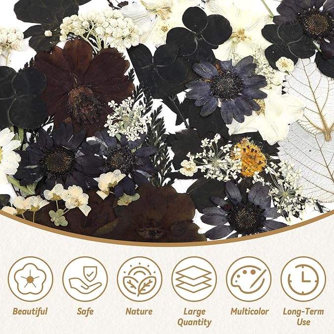 Augshy Black Dried Pressed Flowers, 120 Pcs Halloween Dried Flowers for Resin Molds Real Pressed Flowers for Crafts DIY Jewelry Molds, Scrapbooking, Candle, Soap Making