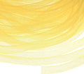 Mesh Tube Ribbon 25 Yards, 10mm Elastic Fabric Ribbons Mesh Tubing for Crafts/Gift Wrapping/Flower Bouquets/Wedding/Birthday/Holiday/Wreaths Christmas/Decoration[Ginger Yellow]
