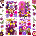 95 Pcs Purple Pressed Dried Flowers for Resin, Real Natural Bulk Dry Wildflowers Leaves Perfect for Epoxy Molds, DIY Crafts, Home Decor, Soap Candles Jewelry Making
