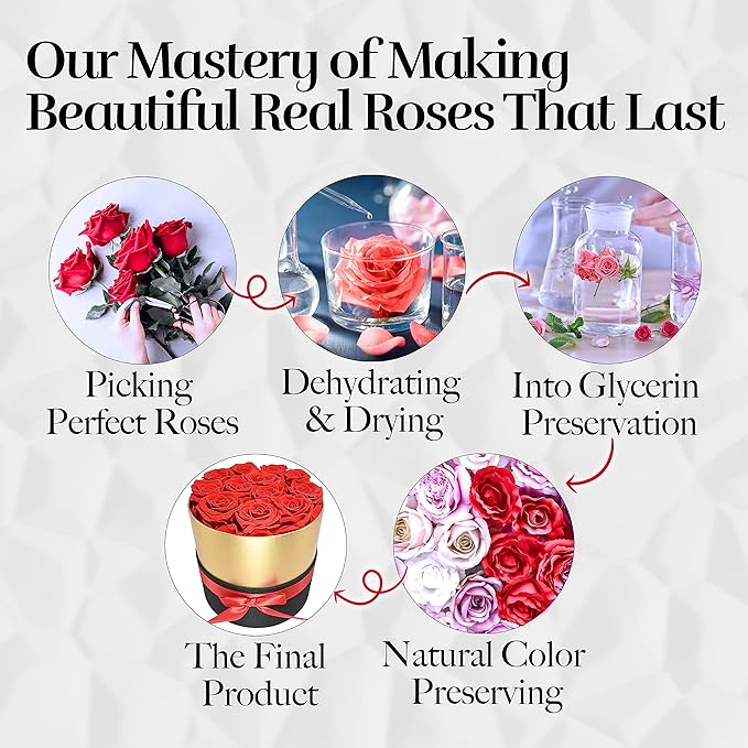 GLAMOUR BOUTIQUE Eternal Preserved Roses in a Box - Flowers Forever, Rose Forever in a Box for Wife, Birthday Gifts for Her, 12 Roses, Red