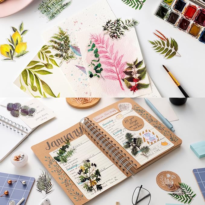 Transparent Flower Stickers for Scrapbooking PET Nature Plant Stickers Floral Stickers Vintage Craft Sticker Colorful Small Flower Sticker for Journaling Scrapbooking Clear Flower Decals(Style B)