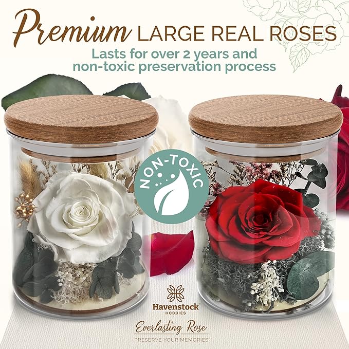 White Rose in a Glass Dome - Premium Real Roses that Last a Year or More - Mother's Day Unique Gifts For Her Preserved Roses - Forever Flower Decor Preserved Flowers - Eternal Rose Display