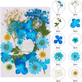 Augshy Blue Dried Pressed Flowers - Natural Real Colorful Dry Flowers for Resin Jewelry Nail Art Craft DIY