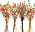 Layhit 4 Pack Large Size Boho Dried Flower Bouquet 15-17 Inch Wedding Handmade Dry Flowers for Vase Crafts DIY Photo Boutonniere for Men Floral Plant for Bridesmaid Gift Birthday Decor(Gerbera Daisy)