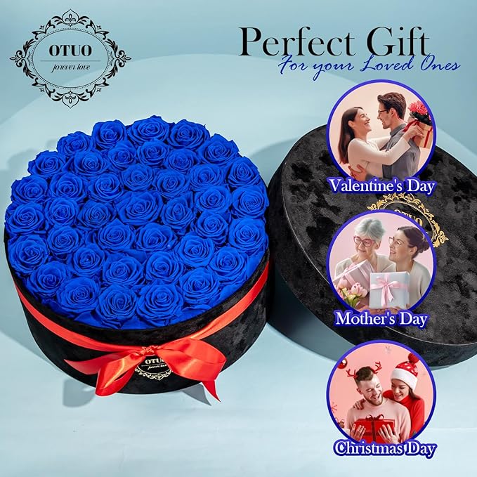 40 Real Preserved Roses in Suede Box Forever Roses Last Up to 3 Years, Flowers for Delivery Prime, Mother’s Day, Birthday, Christmas - Blue