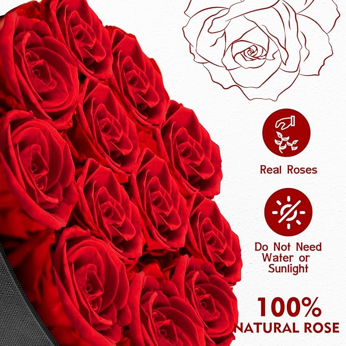 Forever Flowers,12 Red Roses in A Box, Real Preserved Roses, Birthday Gift for Women, Mother's Day, Anniversary Day- Red Roses