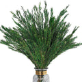 Dried Greenery Stem Decor, 2 Bundles 17" Real Green Melaleuca Bracteata Branch Preserved Plant for Home Vase Floral Design DIY Arrangement Fragment Spring Decorations (Natural Green)