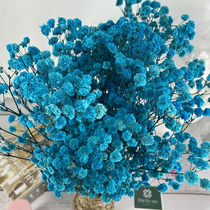 Preserved Baby's Breath, 100% Natrual Gypsophila Long Lasting Flowers for Vase Arrangements Home Decoration Photo Props Parties and Weddings, DIY Décor-Blue