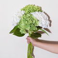 WILD WORKS Hydrangea Artificial Flower Natural Lifelike Real 21 inch Latex Long Stem 2 White+2 Dark Green Hydrangea Flower Bouquets for Christmas Decor Home Party Outdoor Wedding Decoration