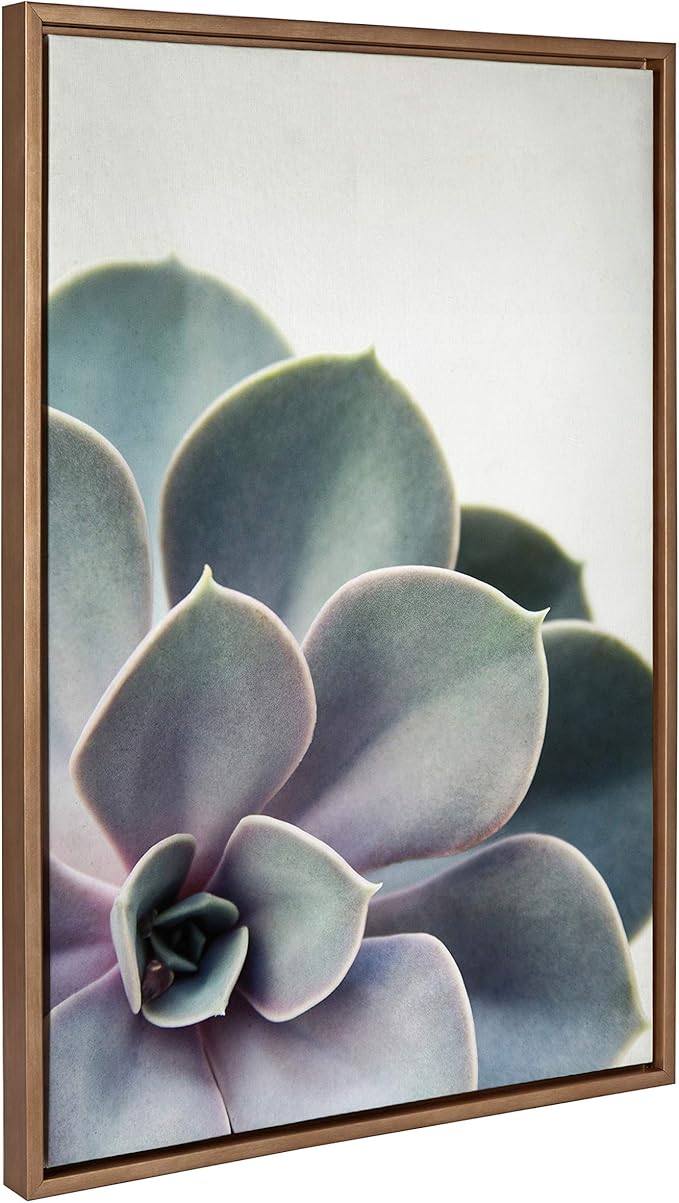 Kate and Laurel Sylvie Succulent Framed Canvas Wall Art by F2 Images, 23x33 Gold