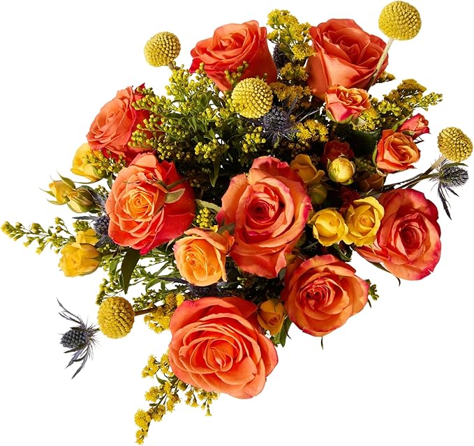 UrbanStems – The Firecracker Bouquet (No Vase) – Fresh Flowers for Delivery – Gift for Birthday, Thank You, Congratulations, Anniversary