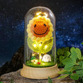 Levvohd Eternal Sunflower Gifts for Women, with Led Glass Dome Smiley Crochet Artificial Sun Flower Desk Decorations, for Her Mom Mothers Day Birthday Christmas Valentine Gifts (W 4.3" X H 7.5")