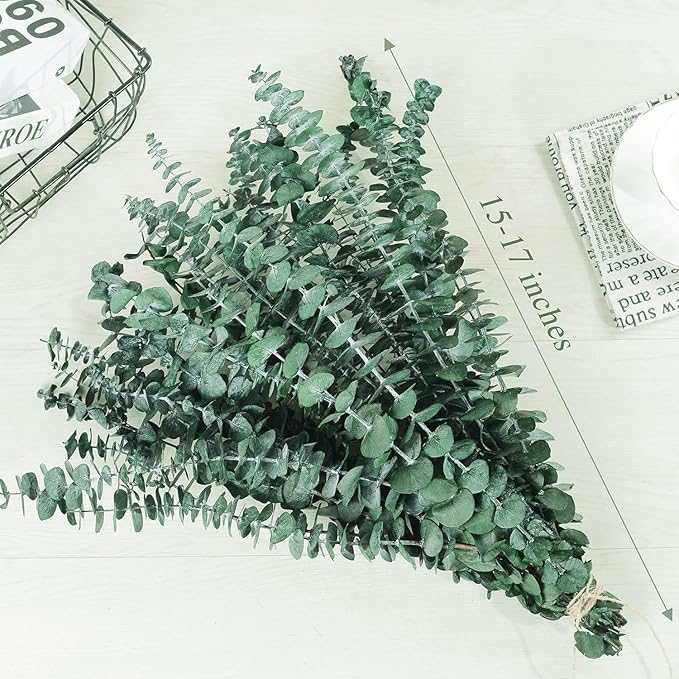 20pcs Dried Eucalyptus Stems - Real Long Eucalyptus, Fall Decorations for Home, 17" Floral Arrangement, Wedding (Green)